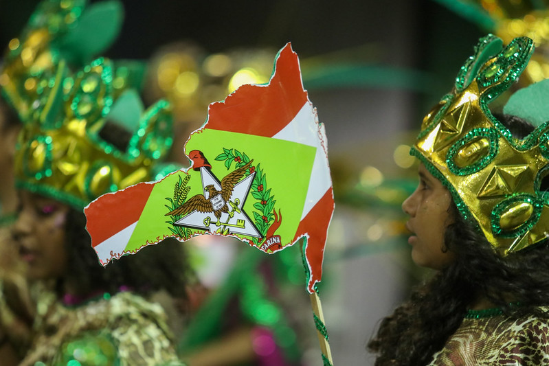 Ala de uma das escolas de samba trazia entre as alegorias a bandeira do Estado de SC / Foto: Ricardo Trida / SECOM 