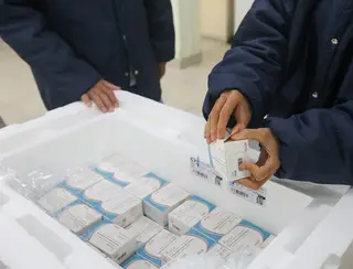 Dengue em SC: remessa com 29 mil doses da vacina contra a doença chegaram ao estado nesta quarta-feira (21)