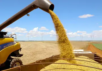 Aumento da produção deve-se à recuperação da soja e à expansão da safra de milho - Foto: Jaelson Lucas/AEN-PR 