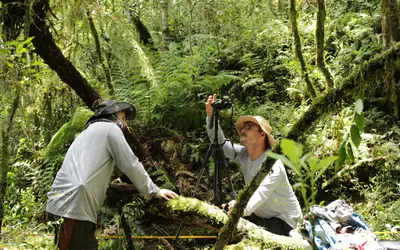 Com uso de satélite e tecnologia, Santa Catarina é destaque em levantamento de dados sobre florestas tropicais