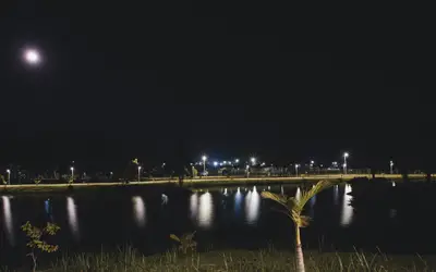 Tecnologia LED: ecoparque Refúgio dos Pássaros ganha iluminação em Araquari (SC)